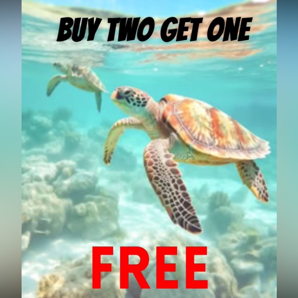 BUY TWO GET ONE FREE!!